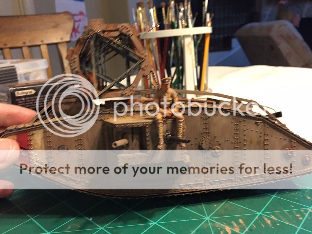 What Does a Hermaphrodite Look Like Pictures on Animal Picture Society